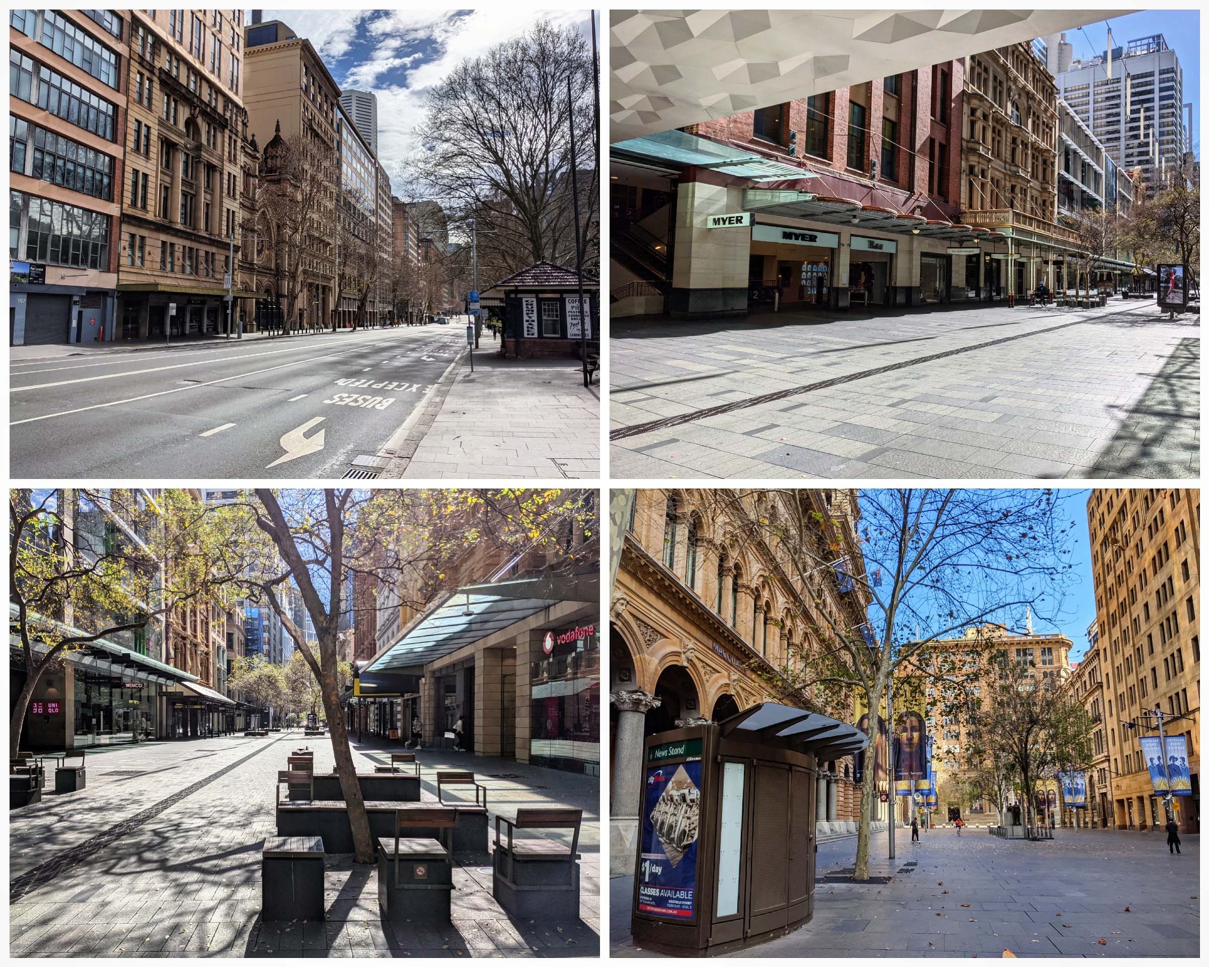 Sydney City.jpg