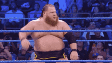 tenor (5).gif