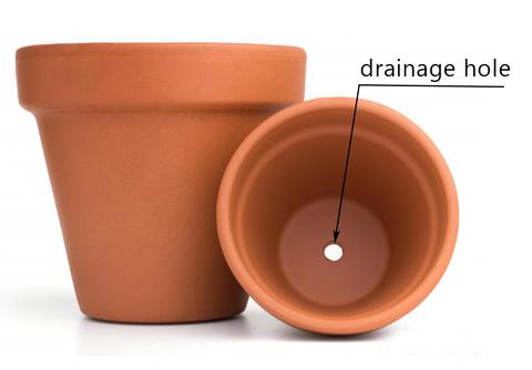 terracotta-pots_cd7d6942-15f7-456f-9688-680af7dd019c_large.jpg