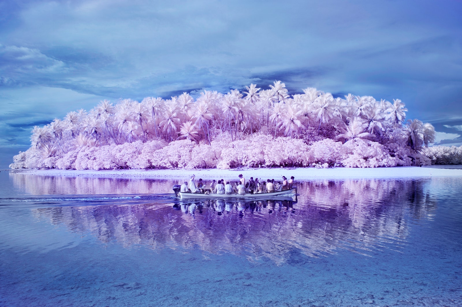 The%2520Island%2520of%2520the%2520Colorblind_06.jpg