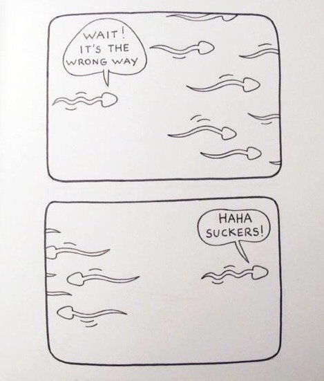 The+reason+i+was+the+winning+sperm_d8075b_3653113.jpg