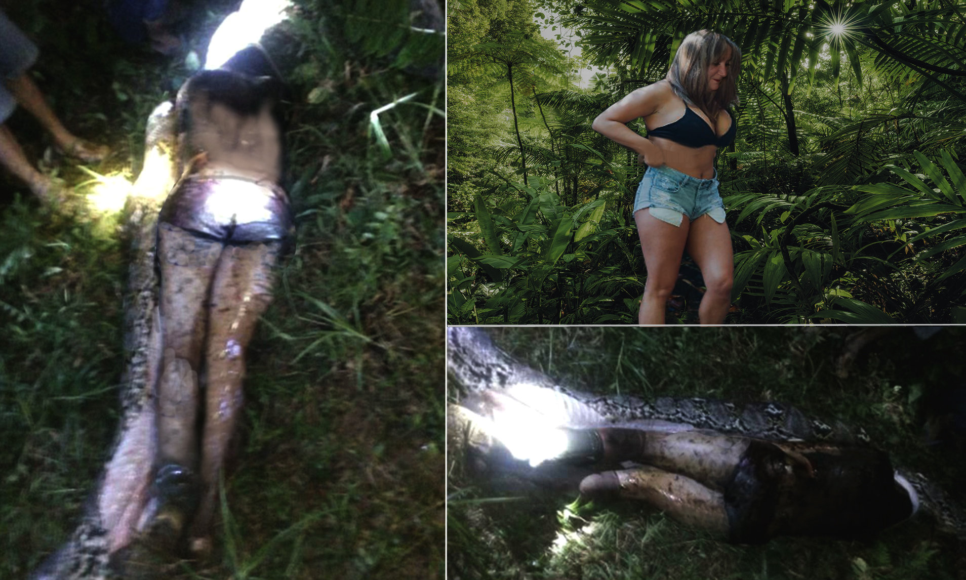 the_last_pictures_of_cindy_by_beavis155co_dg0o91u.jpg