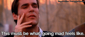 This must be what going mad feels like... - Imgur.gif