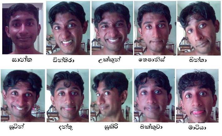 thumbnail.jpg