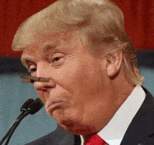 tumblr_e060da85e62c03791940b0061e92d565_cf8d8be0_400 (1).gif