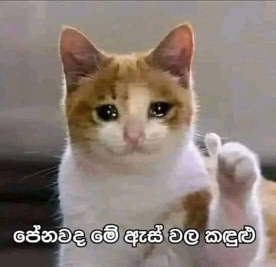 u.jpg