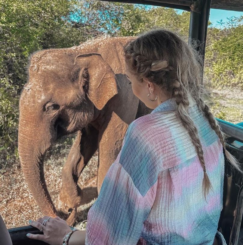 Udawalawe Safari Ticket Price.JPG