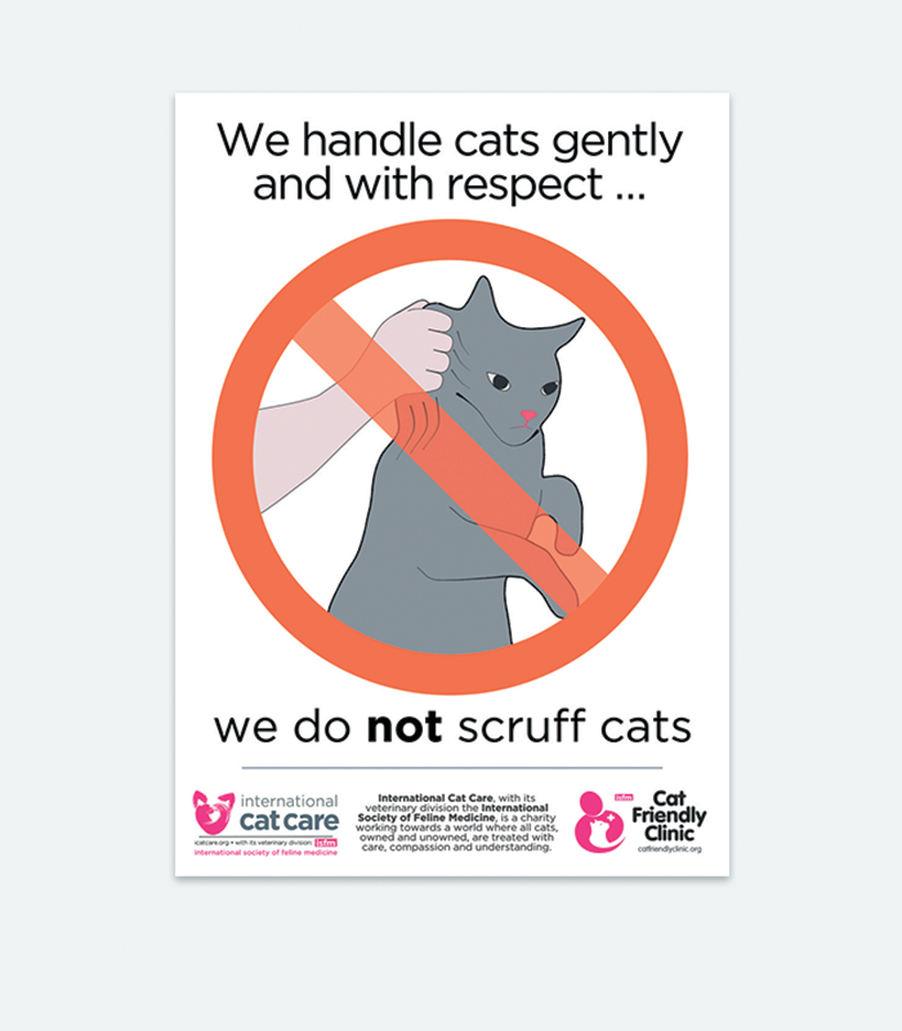 Uncooperative-Cat.png