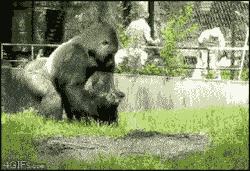 unnamed (1) (2).gif