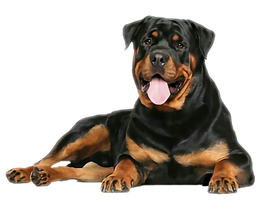 unnamed.png