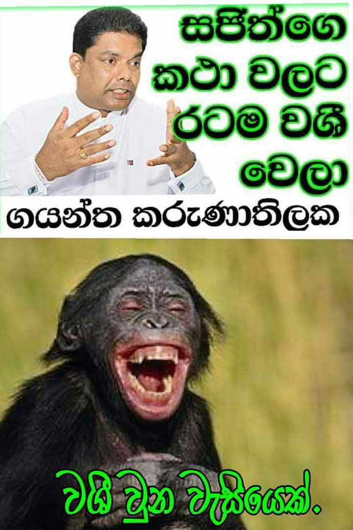 unp gob.jpg