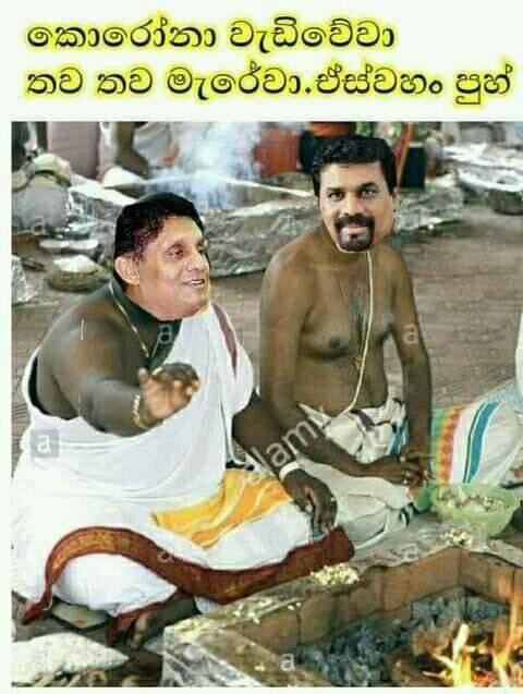 unp idiots.jpg