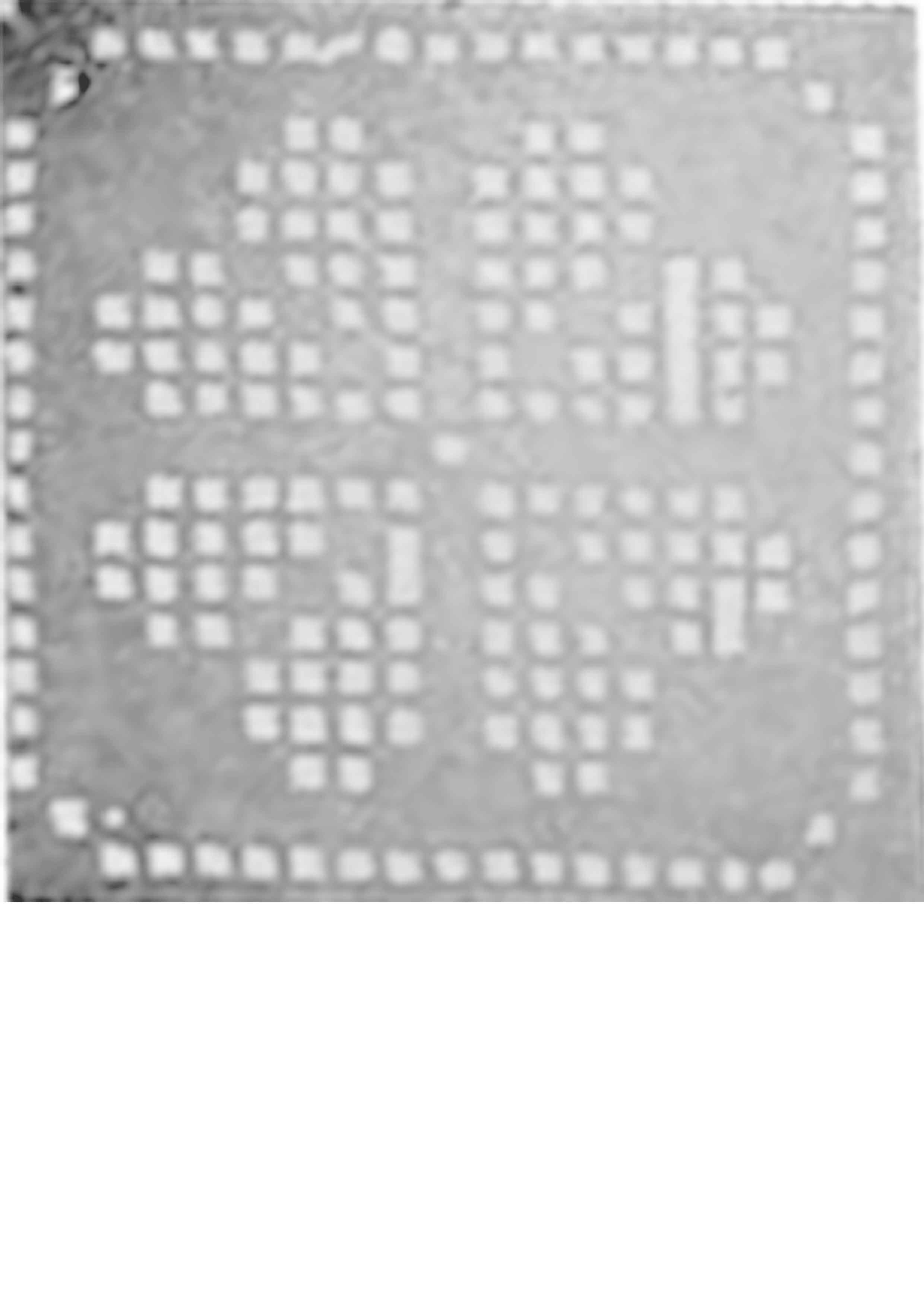 Untitled-2.jpg