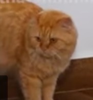 Untitled.jpg