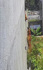 VideoCapture_20200810-223429 A.jpg