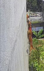 VideoCapture_20200810-223509 B.jpg