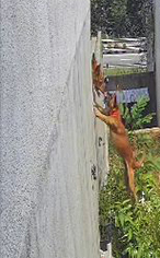 VideoCapture_20200810-223543 D.jpg
