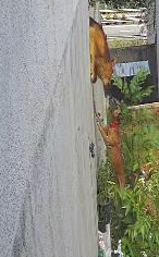 VideoCapture_20200810-223629 E.jpg