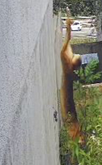 VideoCapture_20200810-223629 F.jpg