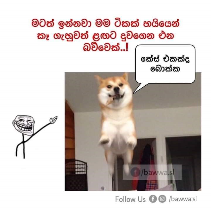vini_20.jpg