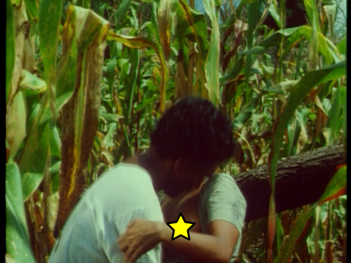 vlcsnap-2021-11-07-11h37m27s242.png
