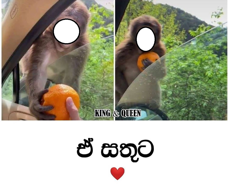 wadura - Copy.jpg