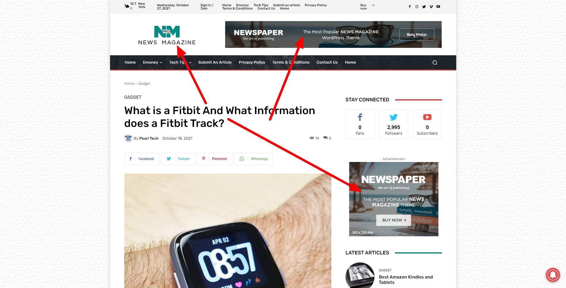 What is a Fitbit.jpg