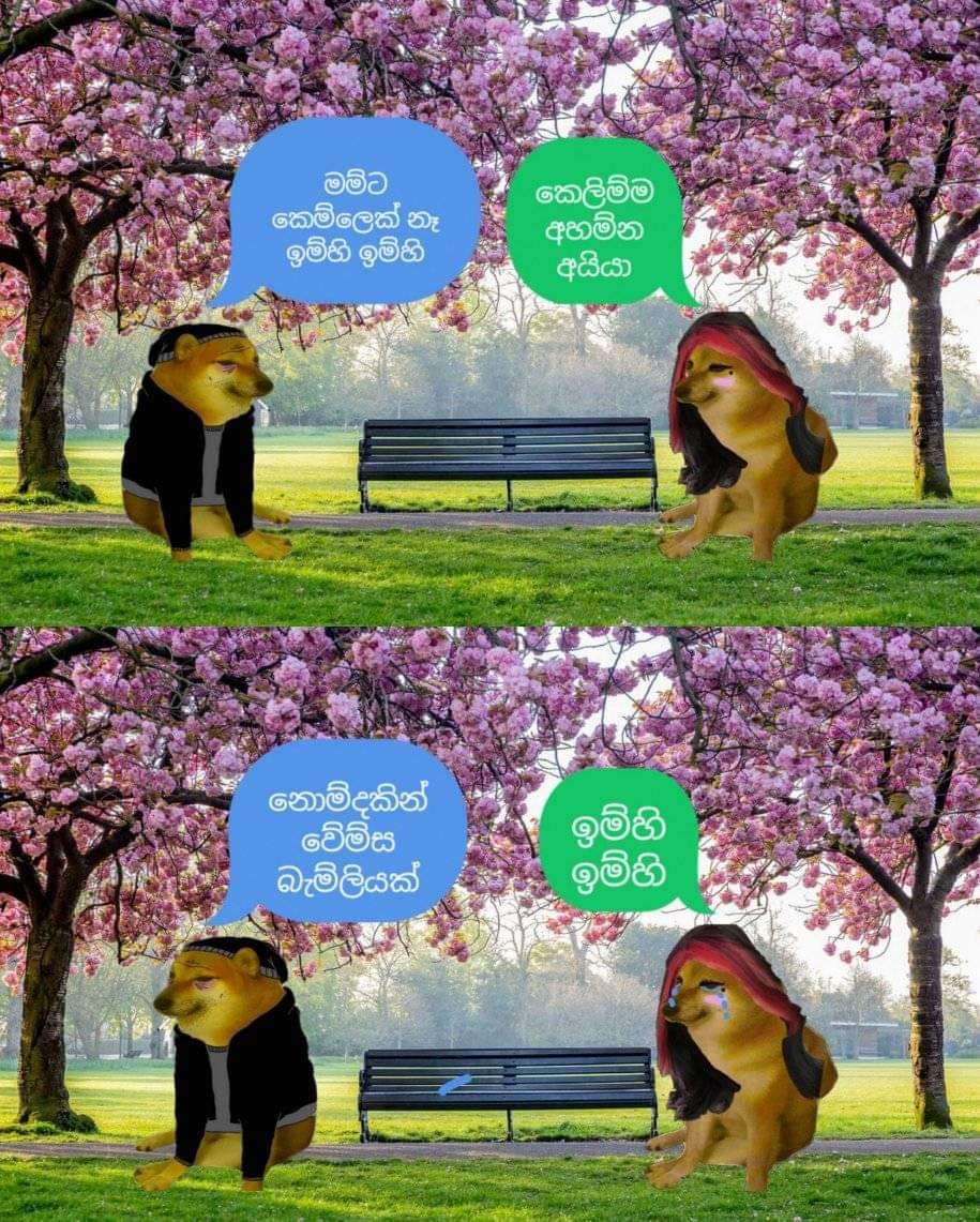 WhatsApp Image 2021-05-17 at 7.37.39 PM.jpeg