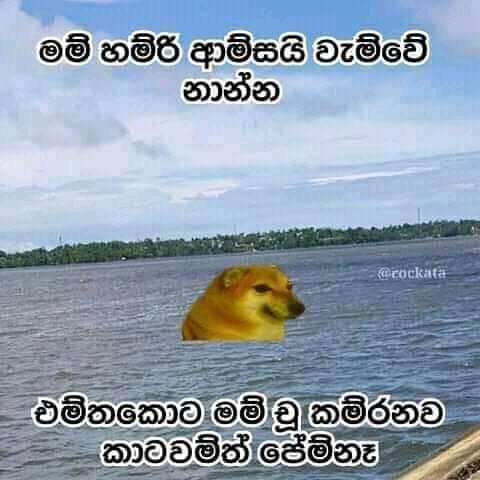 WhatsApp Image 2021-05-19 at 1.33.30 PM.jpeg