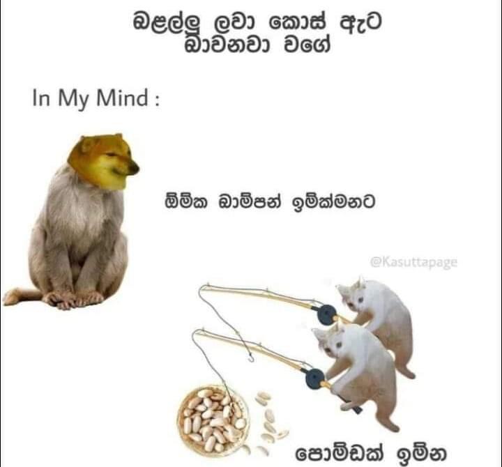 WhatsApp Image 2021-06-02 at 9.23.51 AM.jpeg