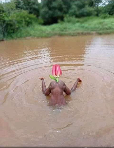 WhatsApp Image 2022-01-12 at 11.23.46 AM.jpeg