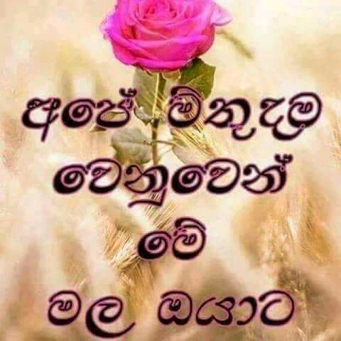 WhatsApp Image 2023-01-11 at 6.18.02 PM.jpeg