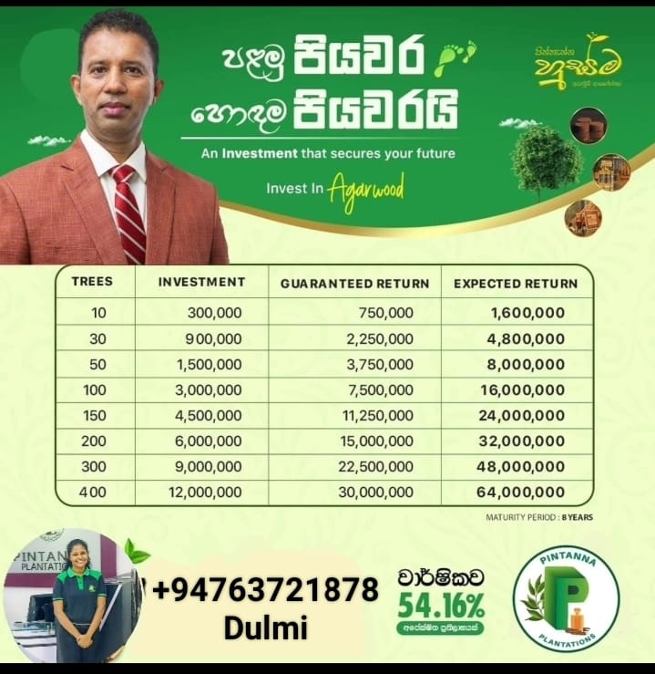 WhatsApp Image 2023-03-01 at 09.25.51.jpeg