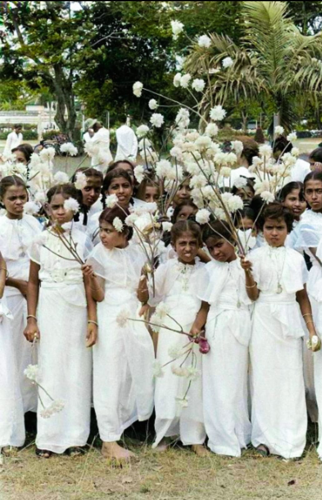 WhatsApp Image 2023-05-08 at 9.58.02 PM.jpeg