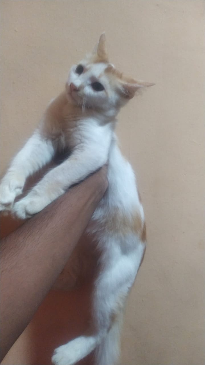 WhatsApp Image 2023-05-30 at 9.34.34 AM (2).jpeg