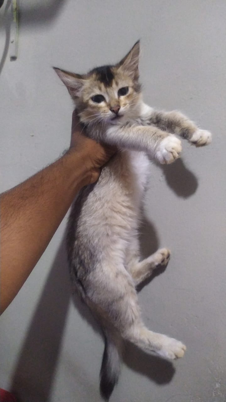 WhatsApp Image 2023-05-30 at 9.34.34 AM.jpeg
