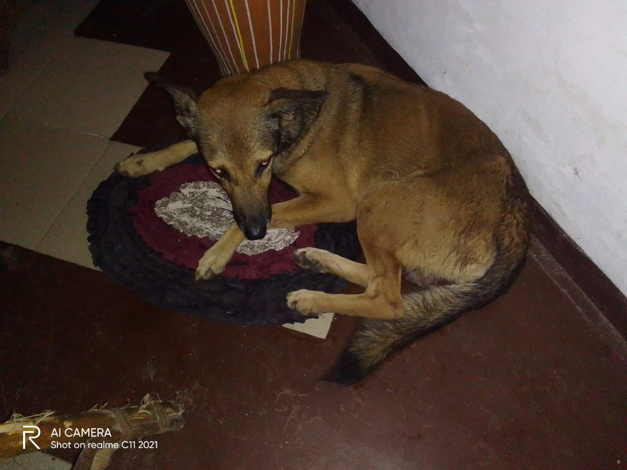 WhatsApp Image 2024-06-02 at 9.19.26 PM.jpeg