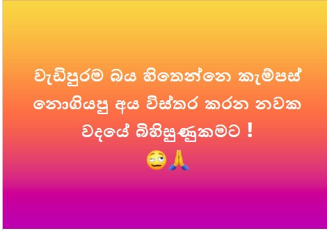 WhatsApp Image 2025-05-08 at 16.48.40_bd7bcbb6.jpg