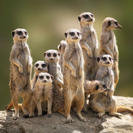 When you get the fam together for a group photo 📸.jpg