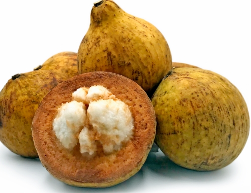 wild_mangosteens.jpg