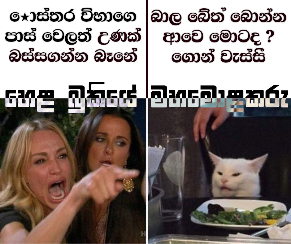 womancat.png