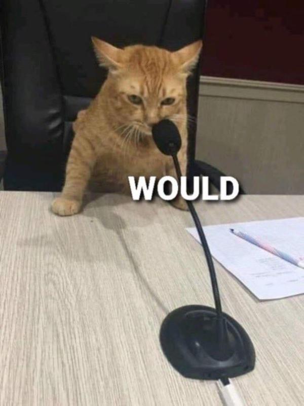 would CAt.jpg