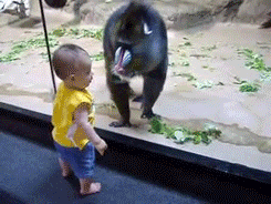 WRxI.gif