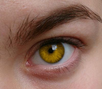 yellow-example.jpg