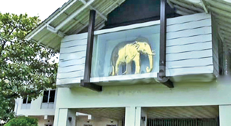 z_p01-Sirikotha.jpg