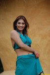 1723094_f520.jpg