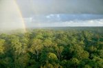 frenchguianacanopy-405002-ga.jpg