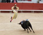 bullfightning_001.jpg