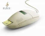 Fundu_Mouse_4.jpg