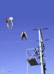 olympics%20in%202008%20%284%29.jpg